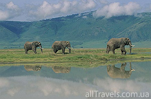 Национальный запасной Chobe